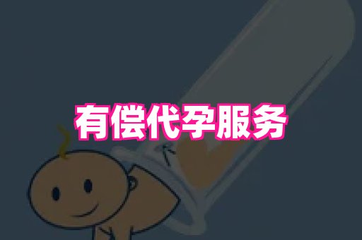 swisee孕网 2
