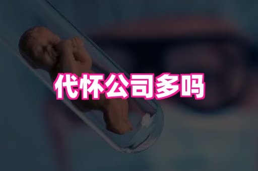 swisee孕网 3