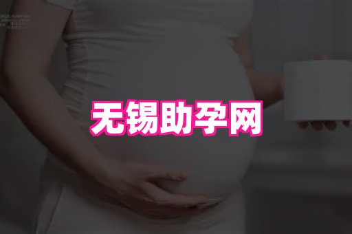 swisee孕网 4